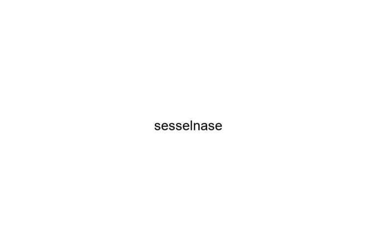 sesselnase