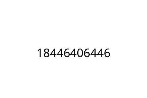 18446406446