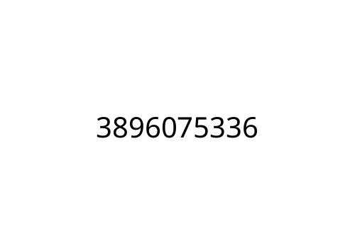 3896075336
