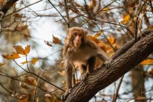 dove deep moisture vs sensitive skin