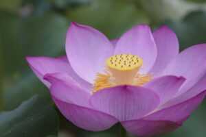 how content marketing is changing the game