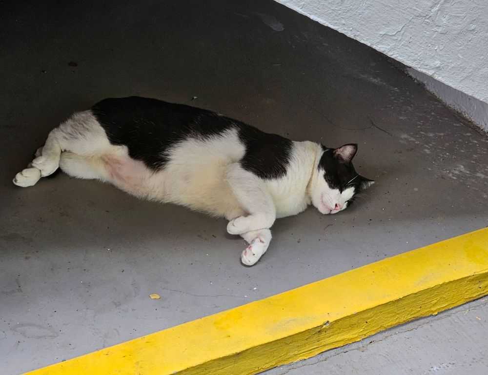 why innerlifthunt game postponed