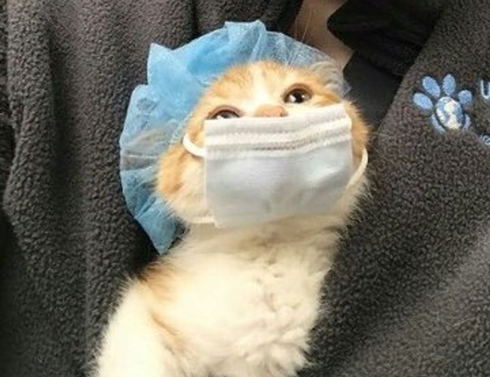 80 dlls a pesos mexicanos