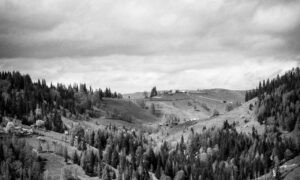 laura dijkema bikini