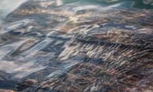 mr heang update fake