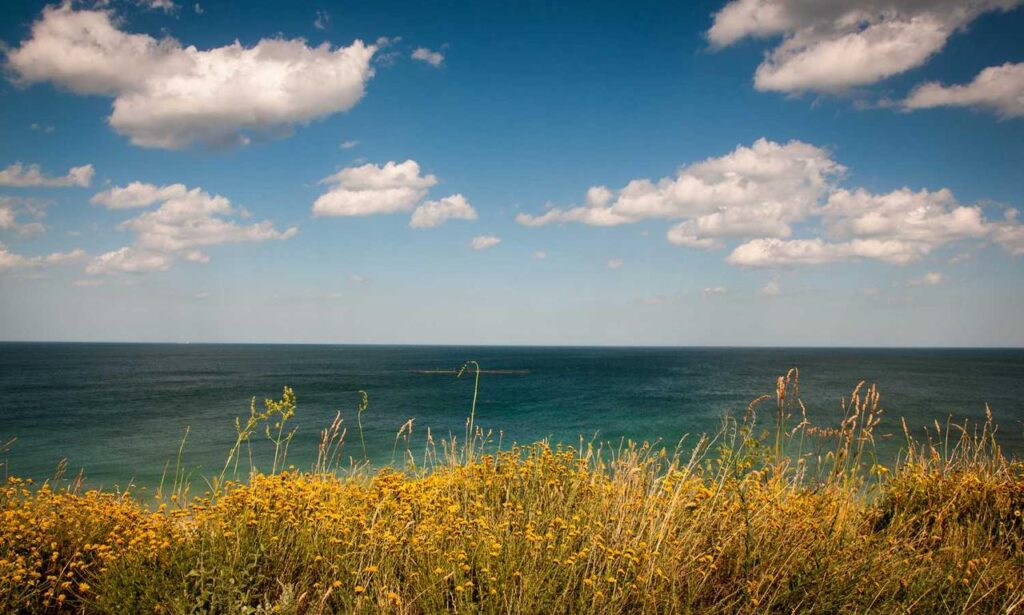 nudo de bruja tatuaje acuarela