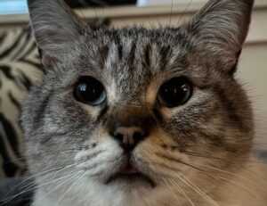 nurul hidayah twitter