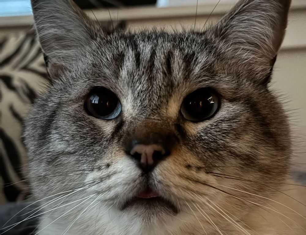 nurul hidayah twitter