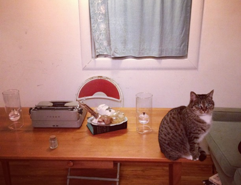 photo dance apk premium