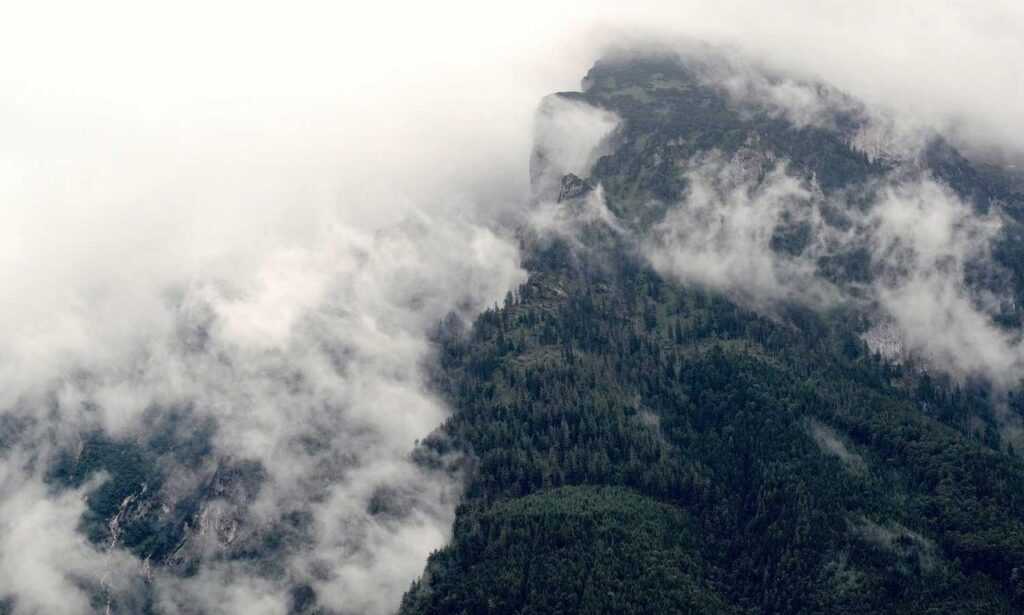 riderkoo roblox skin