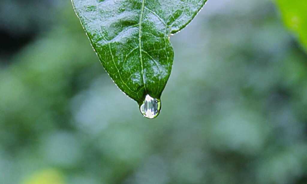 tony barber net worth