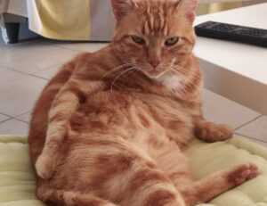 yourstrawberryflame nude