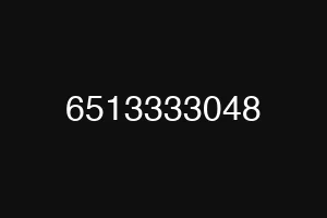 6513333048