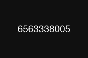 6563338005