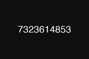 7323614853