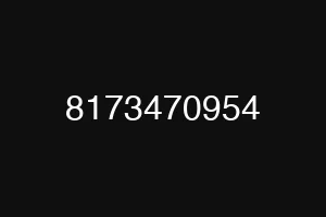 8173470954