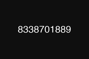 8338701889