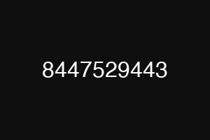 8447529443