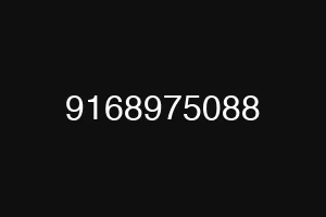 9168975088