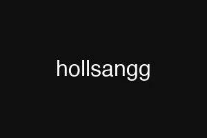 hollsangg