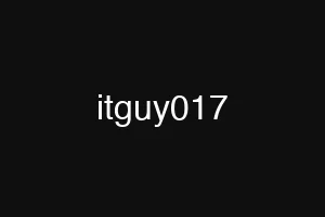 itguy017