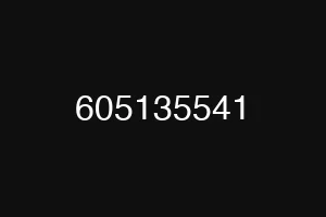 605135541