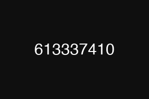 613337410