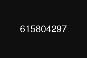 615804297