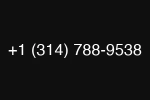 +1 (314) 788-9538