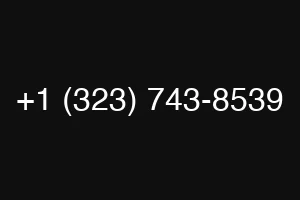 +1 (323) 743-8539