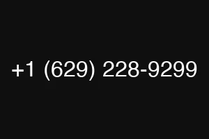 +1 (629) 228-9299