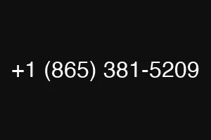 +1 (865) 381-5209