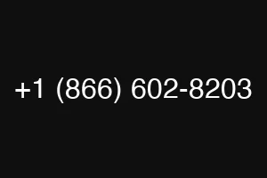 +1 (866) 602-8203