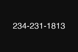 234-231-1813