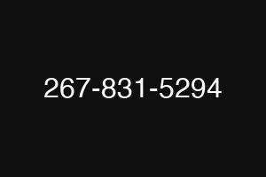 267-831-5294