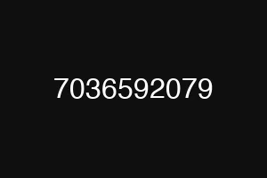 7036592079