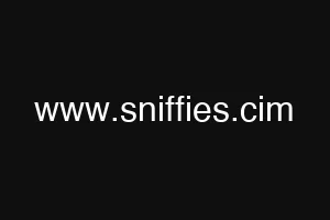 www.sniffies.cim